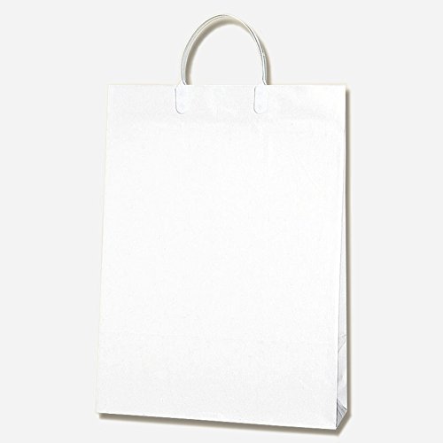 ヘイコー 手提 紙袋 ワイドバッグ 2才 シロ 32x11.5x45cm 10枚
