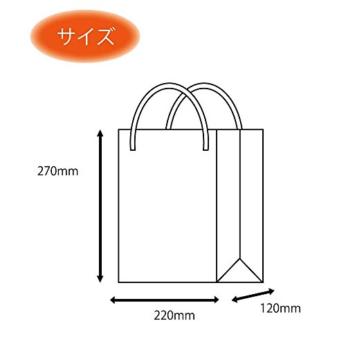 ヘイコー 手提 紙袋 ブライトバッグ 22-12 マット クロ 22x12x27cm 10枚