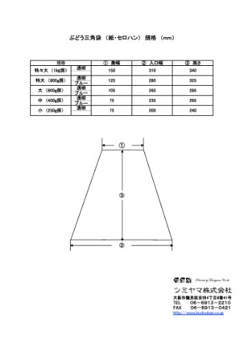 ぶどう 出荷用 三角福袋 特々大透明 100枚入 出荷用袋 （紙、セロハン） シャインマスカット、瀬戸ジャイアンツ、ゴルビー、赤、緑超大房ぶどう用