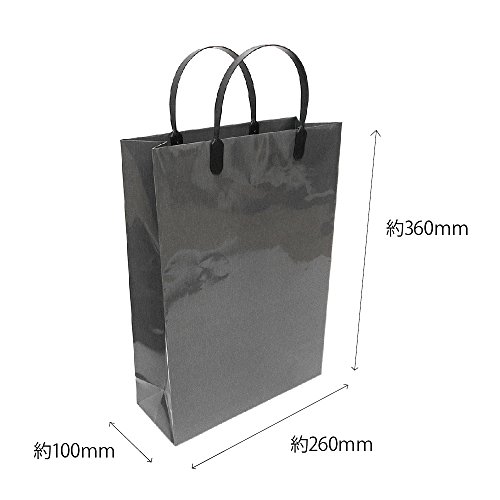 エヒメ紙工 紙袋 デザインラミネートバッグ A4サイズ レイン 10枚パック RAIN-A4-10P