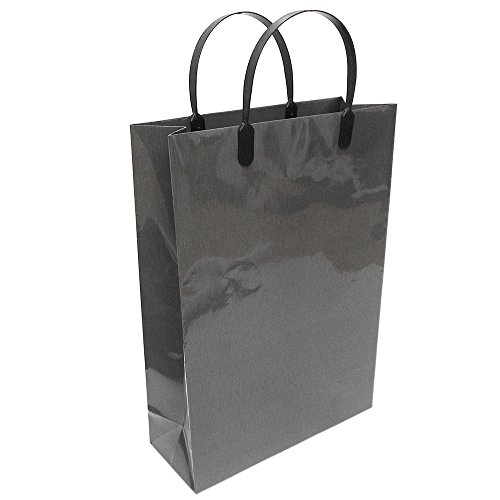 エヒメ紙工 紙袋 デザインラミネートバッグ A4サイズ レイン 10枚パック RAIN-A4-10P
