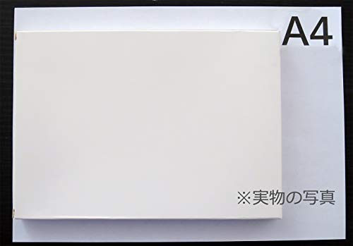 包装ケース 梱包箱 カード紙箱 ギフトボックス ラッピング ヘイコー 箱 ホワイト 白無地ボックス 速達サイズ対応 162x229xH18mm 10個セット
