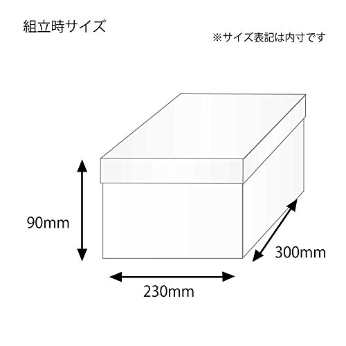 ヘイコー 箱 バラエティボックス 0-13-90 23x30x9cm 10枚