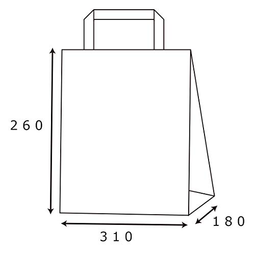 ヘイコー 手提げ紙袋 ロー引き袋 WT-M 260×310×マチ180mm 10枚